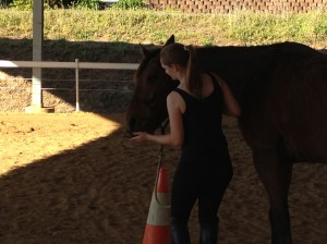 Training Josie to Touch